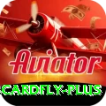 3cardfly Plus Edition v4.8.1