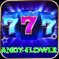 andy flower VIP v5.4.0