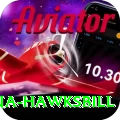 antigua hawksbill VIP Edition v3.1.4