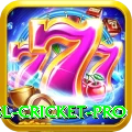 bbl cricket - VIP Earning App