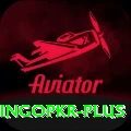 bingopkr Pro v3.5.6