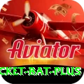 cricket bat - Premium Edition v4.6.2