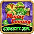 cricket bpl Pro Edition v2.5.2