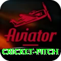 cricket pitch VIP Pro v1.3.9