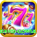 david gower Gold Edition v1.7.6