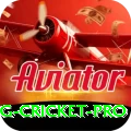 eng cricket Plus APK v4.0.2