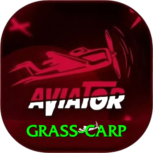 grass carp Premium Edition v3.6.6 - 2