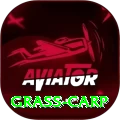 grass carp Premium Edition v3.6.6