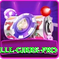 herschelle gibbs APK Turbo v1.3.1