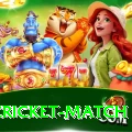 india cricket match Premium v2.3.8