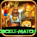 india pakistan cricket match Pro Edition v3.7.7