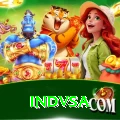 indvsa Max Pro v4.8.6