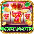 international cricket match Master Pro v4.8.3