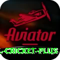 international cricket King Gaming App