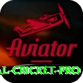 international cricket - Casino Turbo
