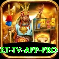 live cricket tv app Official v3.9.5