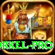 morne morkel Royal Slots