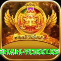 naseem shah yorkers Deluxe v2.8.3