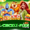 one cricket - Slots King