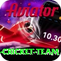 pakistan women cricket team Games (Casino & Earning) Turbo v1.7.8