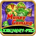 pakrummy - Casino Pro