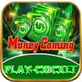 play cricket Master Pro v3.2.1