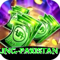 responsible gambling pakistan Elite v3.0.2