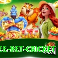 risk free bet cricket Ultimate Pro v4.7.3