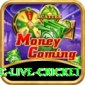 smartcric live cricket Master v4.4.4