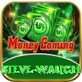 steve waugh Premium Plus v4.4.0