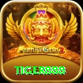 tiger888 Gold Pro vv3.4.7