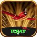 tojay VIP v4.4.2