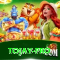 tojay Pakistan King v1.9.1