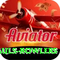 wicket hauls bowlers Deluxe Pro v2.9.3