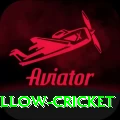 willow cricket Apps (Tools & Injectors) Max v1.6.0